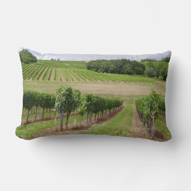 Vineyard - Vineyard (Bordeaux - France) 03 Lumbar Pillow (Front)
