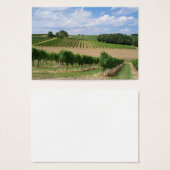 Vineyard - Vineyard (Bordeaux - France) 04 (Front & Back)