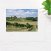 Vineyard - Vineyard (Bordeaux - France) 04 (Desk)