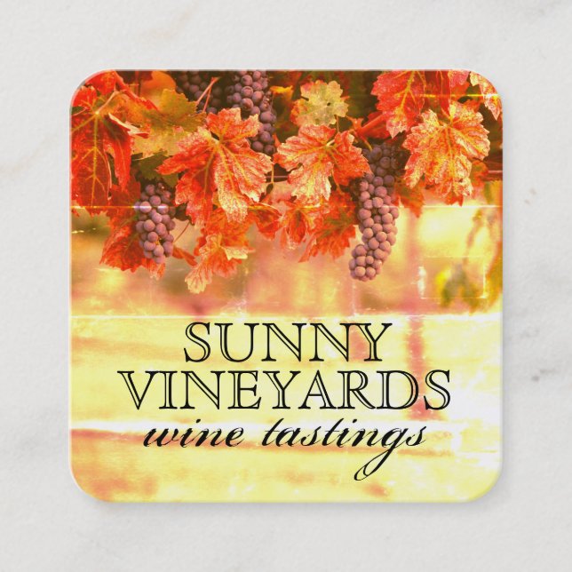 Vineyard Vintage Square Business Card (Front)