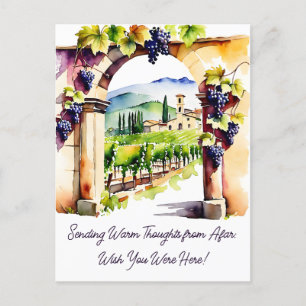 Vineyard watercolor thinking of you postcard