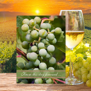 Vineyard Wedding Elopement / Marriage Announcement