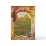 Vineyard