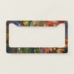 Vineyard Wine Grape Harvest Autumn Colors License Plate Frame