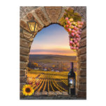 Vineyard