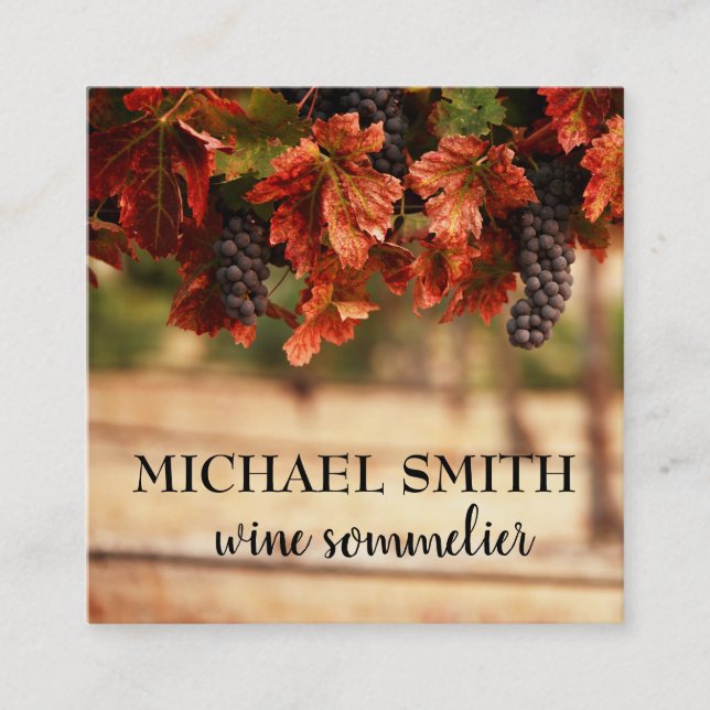 Vineyard / Wine Sommelier Square Business Card (Front)