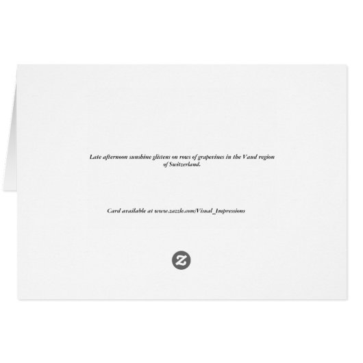 Vineyards at dusk (Back Horizontal)