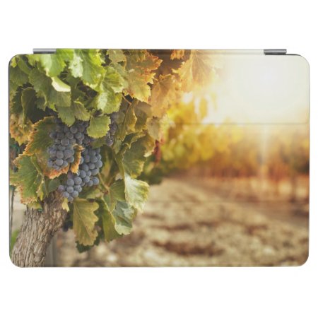 Vineyards At Sunset Ipad Air Cover