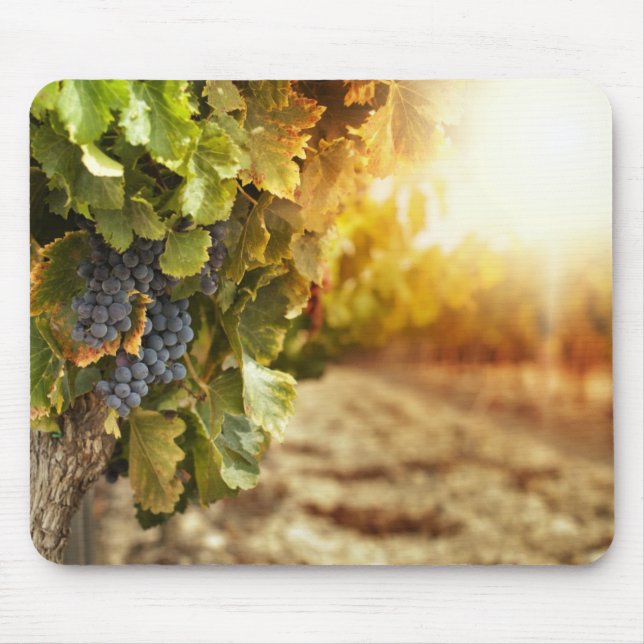Vineyards At Sunset Mouse Pad (Front)
