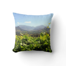 Vineyards in Franschhoek, South Africa