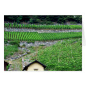 Vineyards in Switzerland (Front Horizontal)