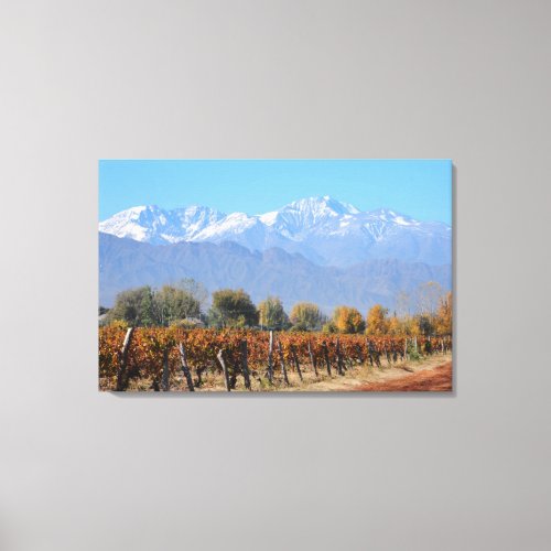 Vineyards In The Fall Of Mendoza Argentina Canvas Print