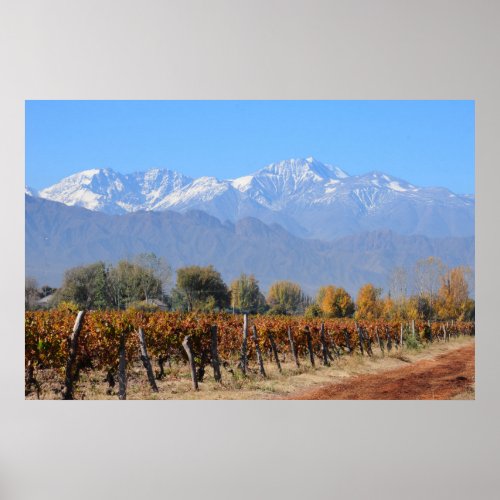 Vineyards In The Fall Of Mendoza Argentina Poster