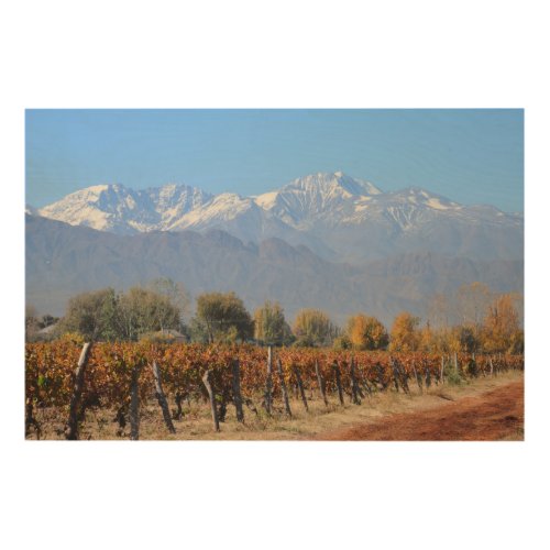 Vineyards In The Fall Of Mendoza Argentina Wood Wall Art