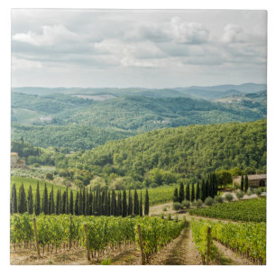 Vineyards landscapes in the morning in Chianti. Ceramic Tile