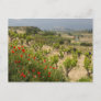 Vineyards near Laguardia, capital of La Rioja Postcard