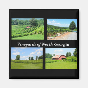 Vineyards of North Georgia wine country Magnet