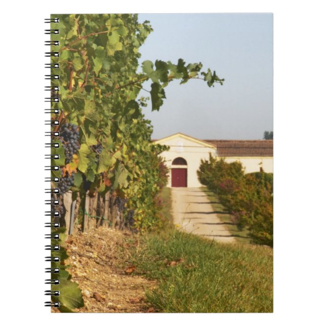 Vineyards, petit verdot vines and the winery in notebook (Front)