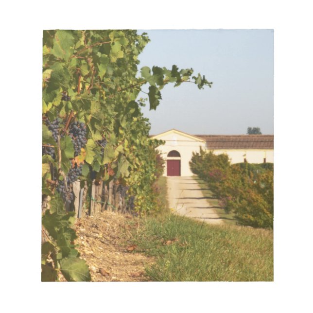 Vineyards, petit verdot vines and the winery in notepad (Front)