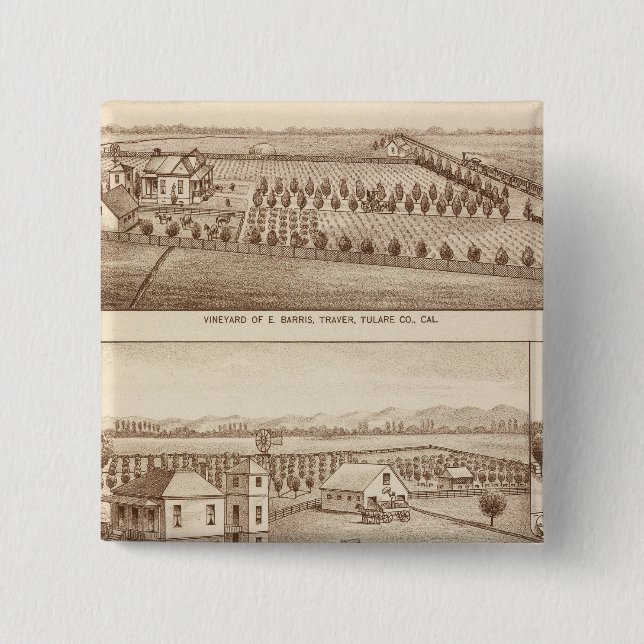 Vineyards, ranches, Tulare Co, Calif Pinback Button (Front)