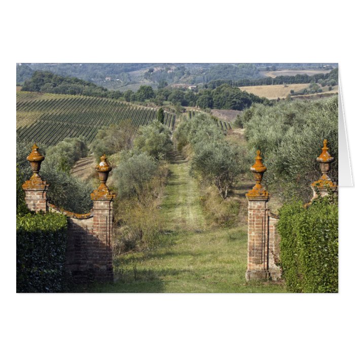 Vineyards, Tuscany, Italy Cards