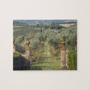 Vineyards, Tuscany, Italy Jigsaw Puzzle