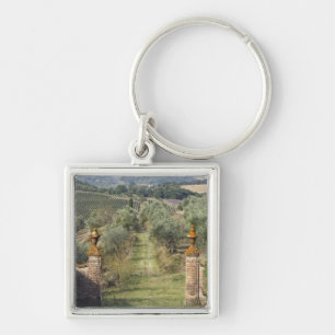 Vineyards, Tuscany, Italy Keychain