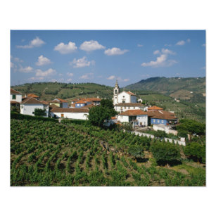 Vineyards, Village of San Miguel, Douro Photo Print
