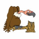 Vinnie Vulture Statuette<br><div class="desc">If you love Vultures or Condors the worlds best known avian scavenger, then you will love this great gift! Perfect for you or anyone you love who have an affinity for Vultures.</div>
