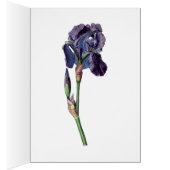 Vintage (Inside (Right))