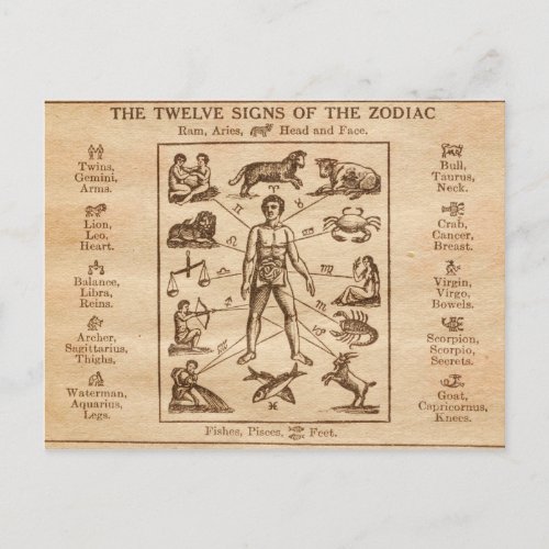 Vintage 12 Signs of the Zodiac Postcard