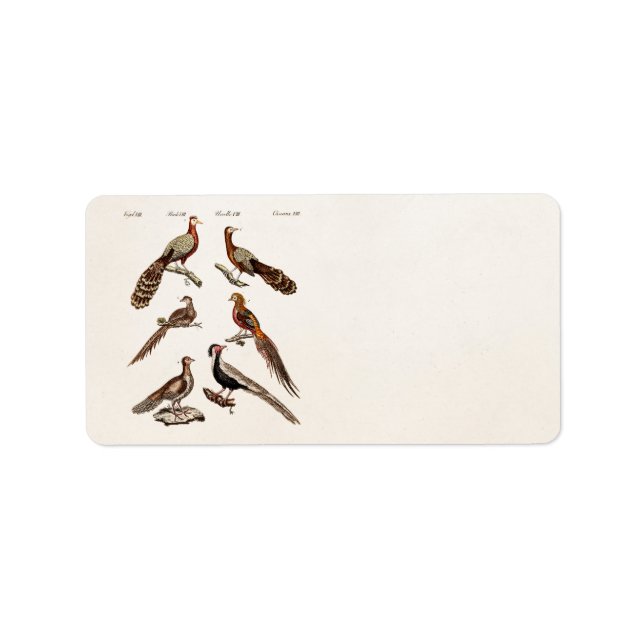 Vintage 1700s Pheasant Game Birds - Pheasant Bird Label (Front)