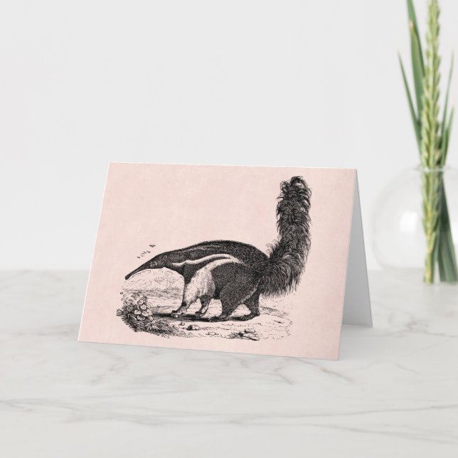 Vintage 1800s Aardvark Pink Retro Ant Eater Card (Front)