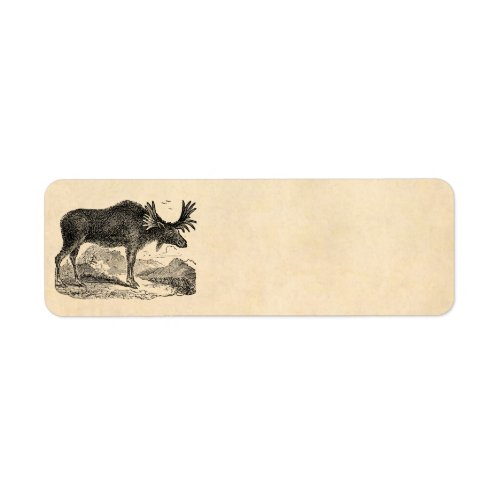 Vintage 1800s American Moose Illustration Template Label