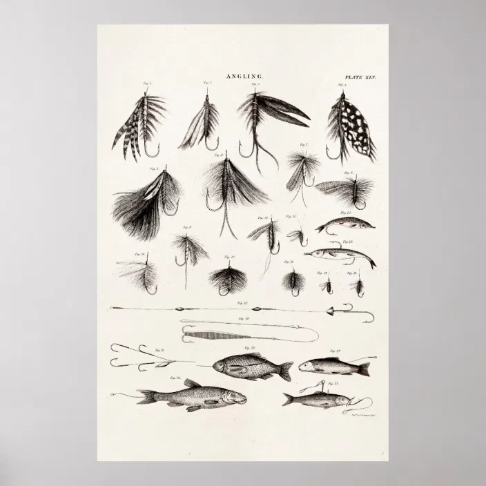 Vintage 1800s Angling Fly Fishing Flies Lures Lure Poster Zazzle Com