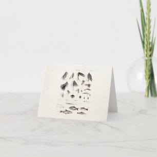 Vintage 1800s Angling Fly Fishing Flies Old Hooks Card