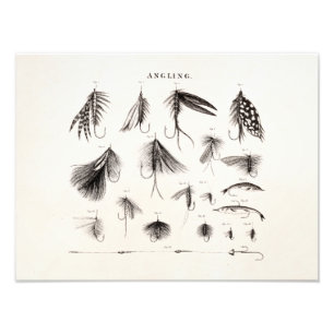 Vintage 1800s Angling Fly Fishing Flies Old Hooks Photo Print