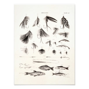 Vintage 1800s Angling Fly Fishing Flies Old Hooks Photo Print