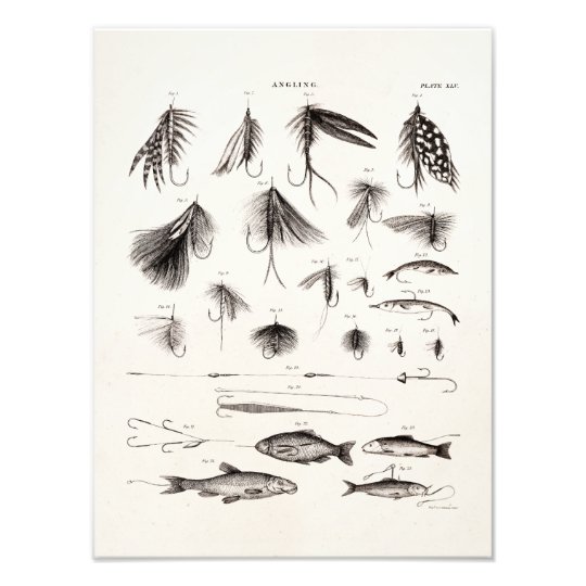Vintage 1800s Angling Fly Fishing Flies Old Hooks Photo Print Vintage 1800s Angling Fly Fishing Flies Old Hooks Photo Print Zazzle