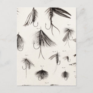 Vintage 1800s Angling Fly Fishing Flies Old Hooks Postcard