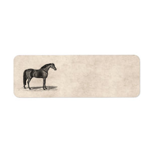 Vintage 1800s Arabian Horse Illustration - Horses Label