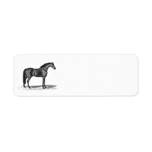 Vintage 1800s Arabian Horse Illustration - Horses Label
