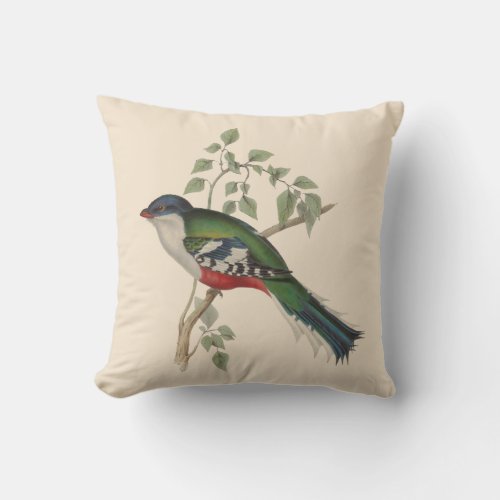 Vintage 1800s Bird Illustration Illustration Throw Pillow