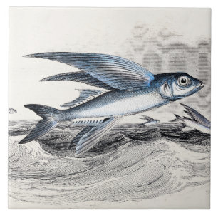 Vintage 1800s Blue Flying Fish In Ocean Waves Tile