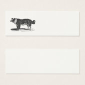 Vintage 1800s Border Collie Dog Illustration (Front & Back)
