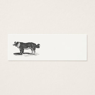 Vintage 1800s Border Collie Dog Illustration