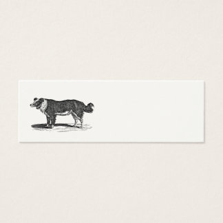 Vintage 1800s Border Collie Dog Illustration