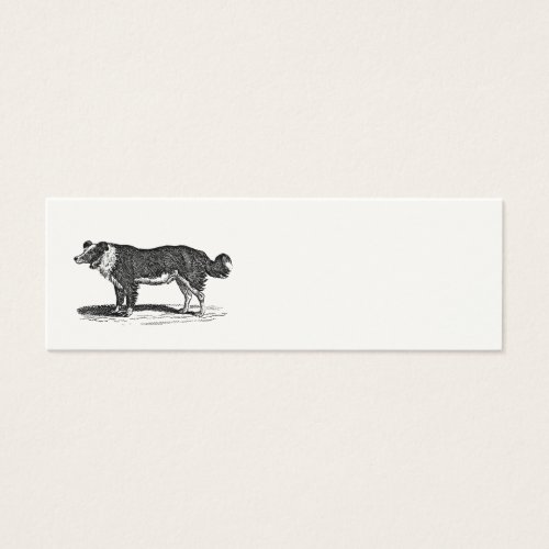Vintage 1800s Border Collie Dog Illustration Business Card Templates