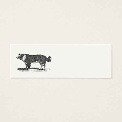Customizable Vintage 1800s Border Collie Dog Illustration Business Card Templates
