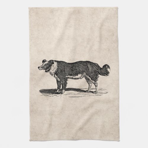 Vintage 1800s Border Collie Dog Illustration Towel